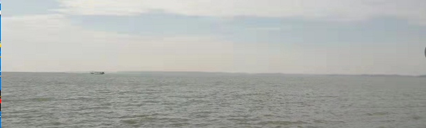 1633153374(1).png