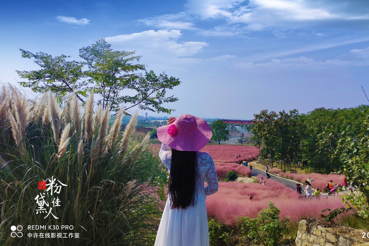 20211002许广泉摄影《红燕旅游之米粒花世界粉黛佳人》9.jpg