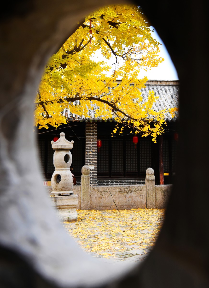 别有洞天 沈道银 淮南图片网18096432751.JPG