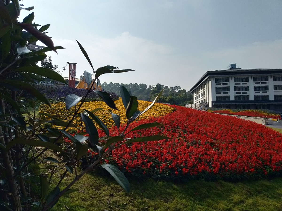 IMG20211025094601.jpg