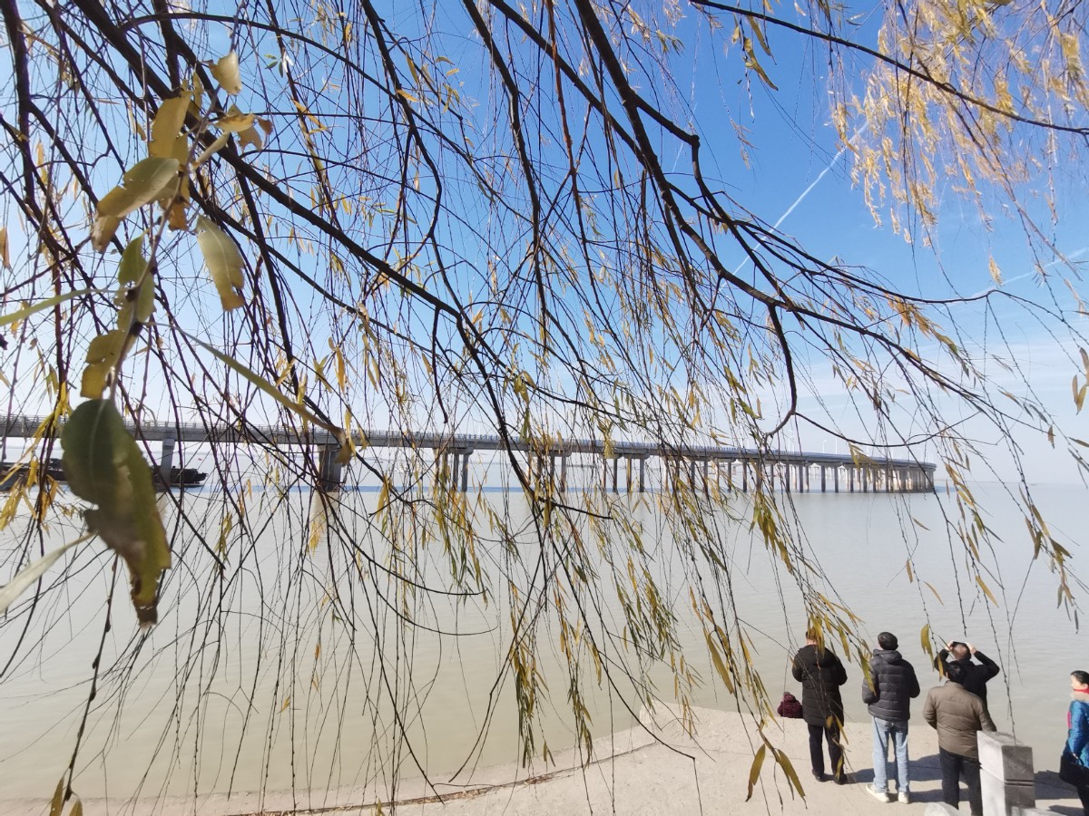 微信图片_20211220150217.jpg 微信图片_20211220150217.jpg