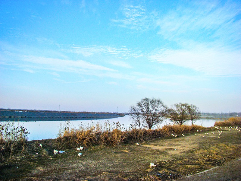 DSC03052_副本.jpg