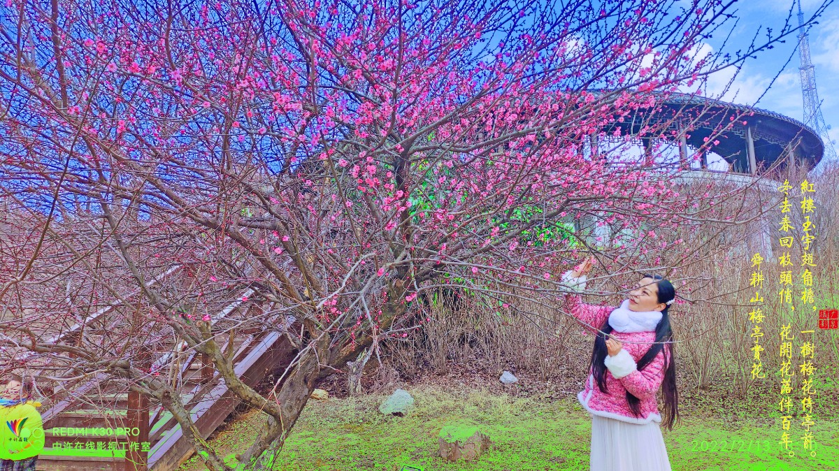 《梅亭赏花》20220213许广泉13505542314摄于淮南舜耕山1字幕.jpg