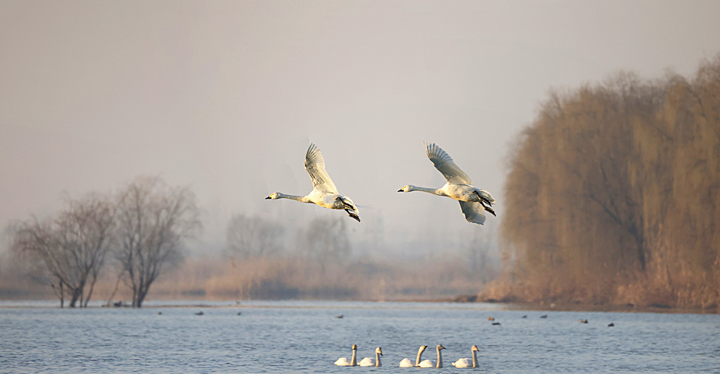 BA5A2473_全景图0_调整大小.jpg