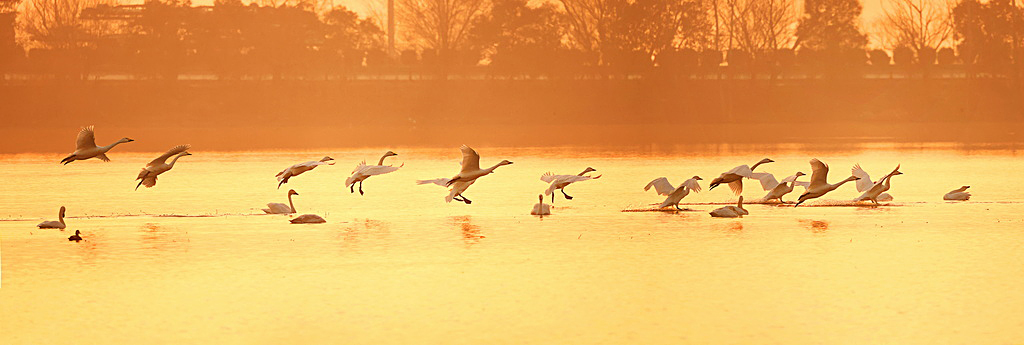 BA5A8826_全景图1_调整大小.jpg