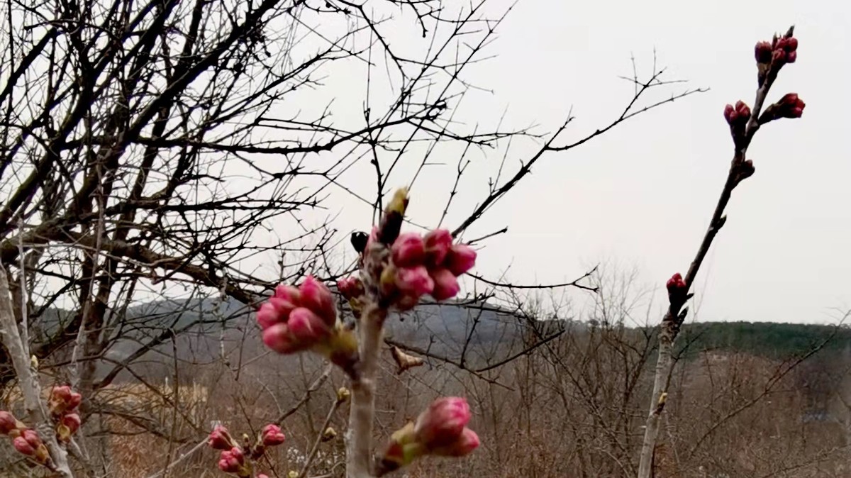 微信图片_20220308084124.jpg 微信图片_20220308084124.jpg