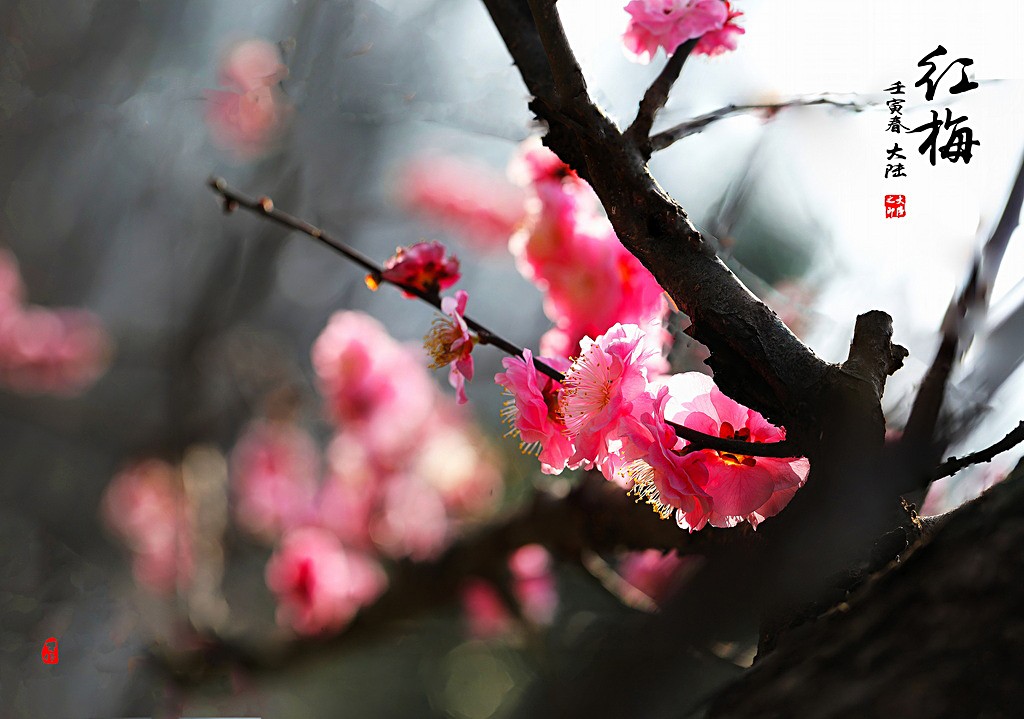 1IMG_1974-0-1_调整大小.jpg