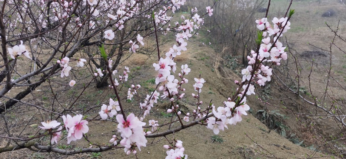 微信图片_202203170917527.jpg