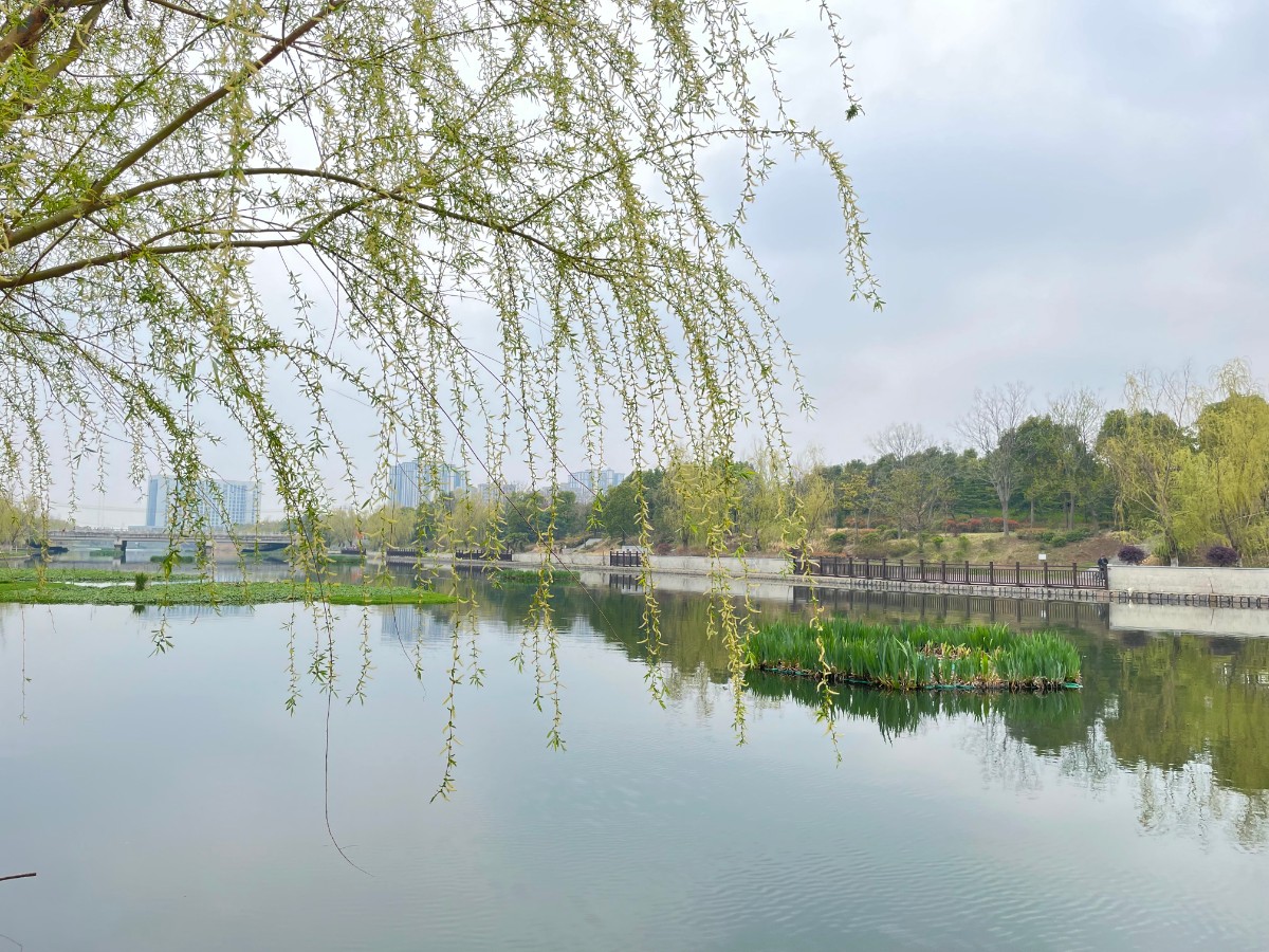 微信图片_202203181438595.jpg 微信图片_202203181438595.jpg