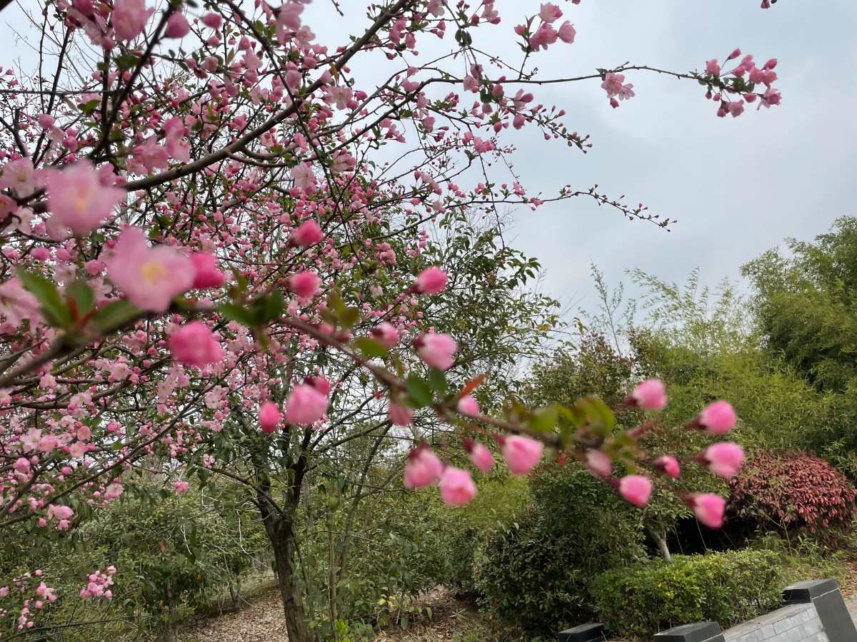 微信图片_2022031814385911.jpg 微信图片_2022031814385911.jpg