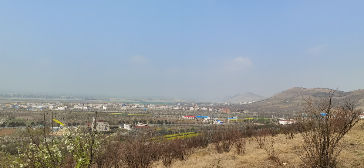 微信图片_202203241641192.jpg 微信图片_202203241641192.jpg