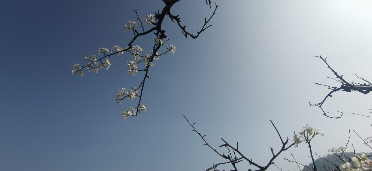 微信图片_202203251512124.jpg