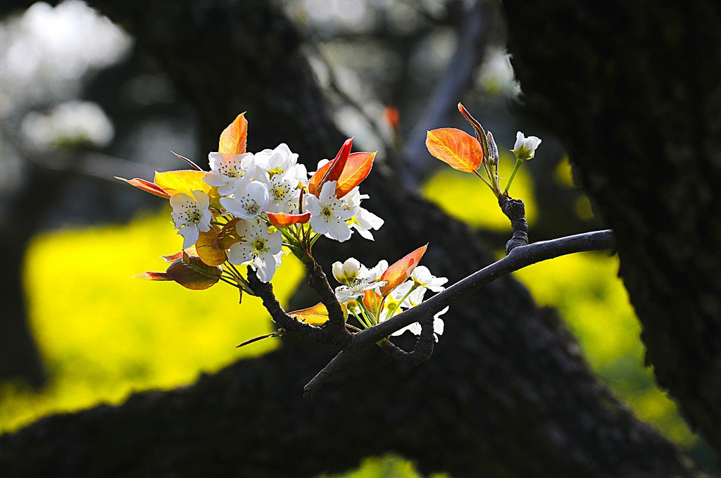 IMG_4798_调整大小.jpg