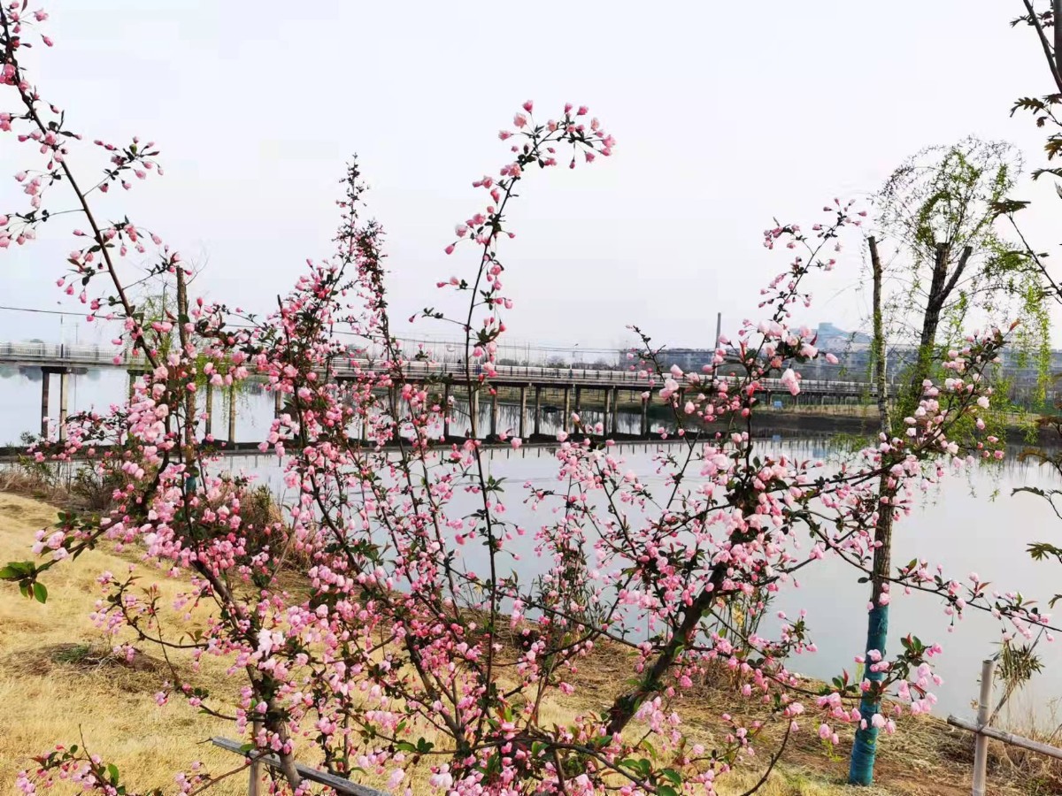 微信图片_20220326211545.jpg