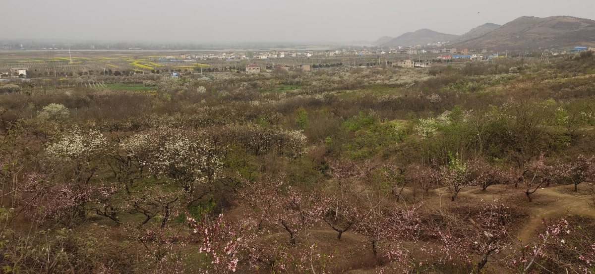 微信图片_202203301512003.jpg