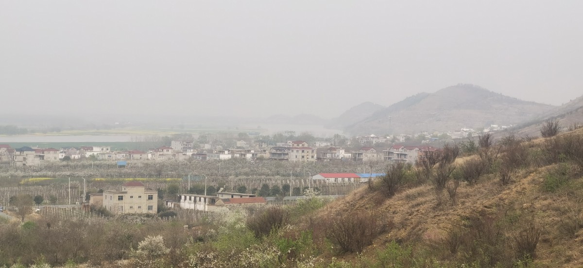 微信图片_202203301512011.jpg