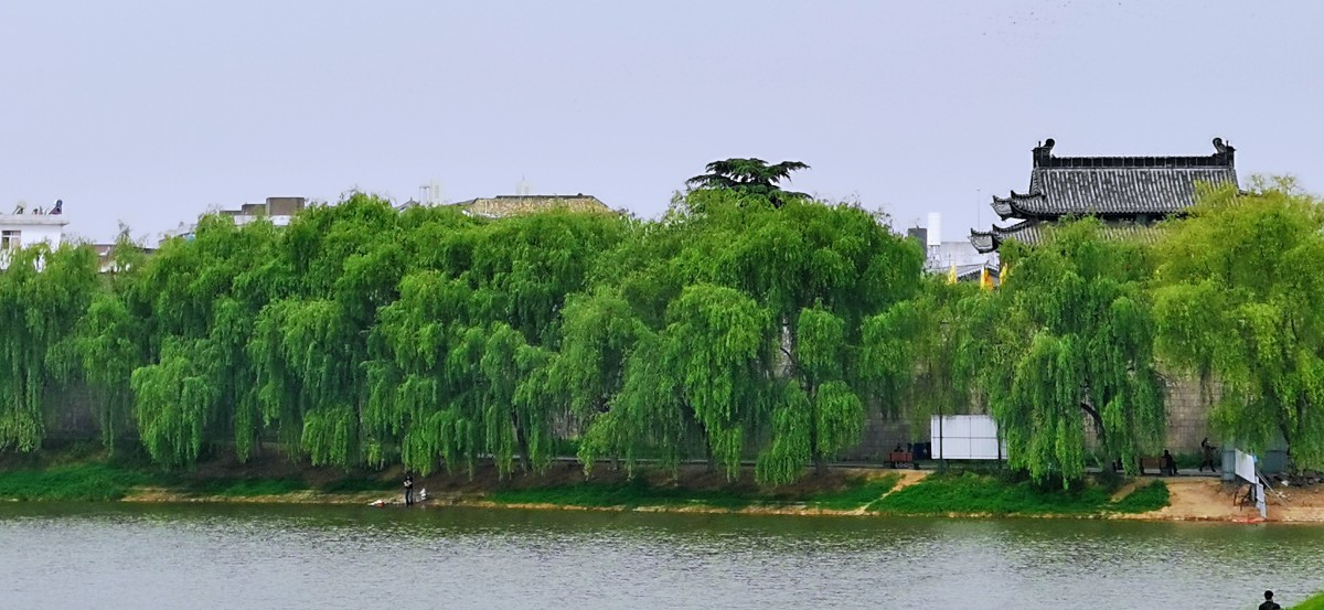 微信图片_202204201000472.jpg 微信图片_202204201000472.jpg