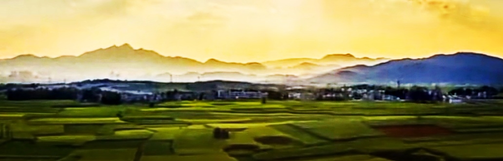 Screenshot_20220512_101558_com.tencent.mm_edit_1162784728981423.jpg Screenshot_20220512_101558_com.tencent.mm_edit_1162784728981423.jpg