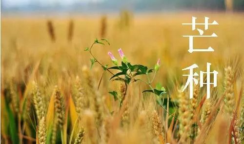 62c37900452d4a61a0c30f8b1cbee1f0.jpeg