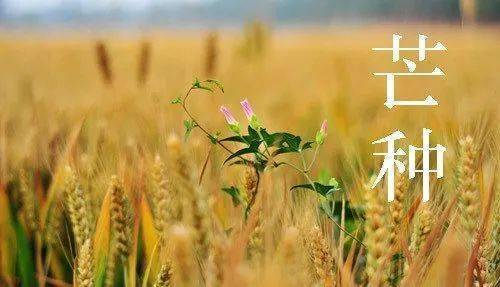 d621b2f8cbe142a586e30000782c331a.jpeg