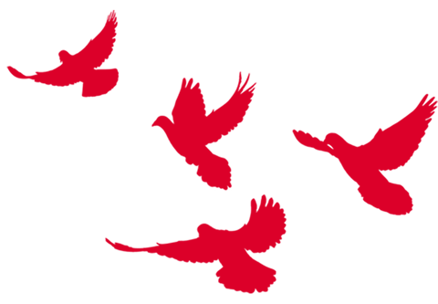 19b1f59351b148008b8ecbcad9f96bfd.png
