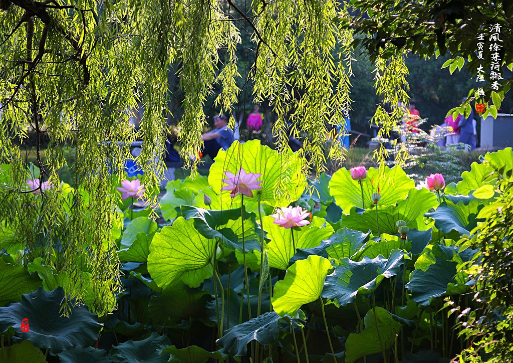 IMG_2298_全景图00-1-1_调整大小.jpg