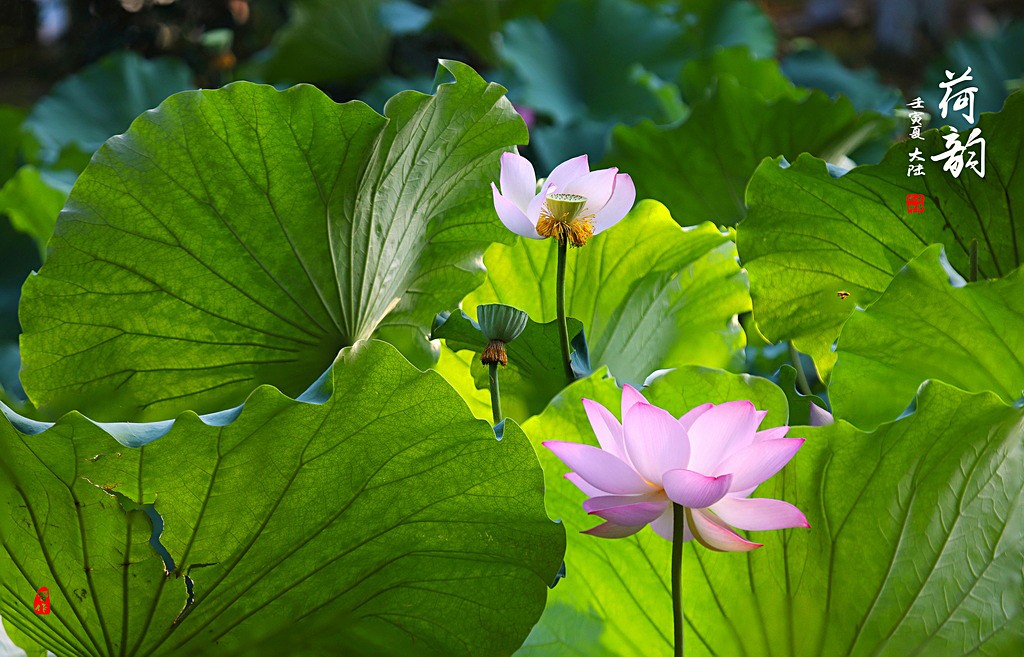 IMG_2150-0-1_调整大小.jpg