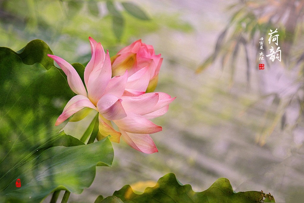 1IMG_1941-1_调整大小.jpg