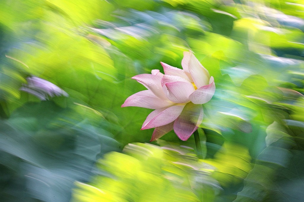 IMG_2859_调整大小.JPG