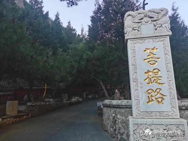 下载 (4).jpeg
