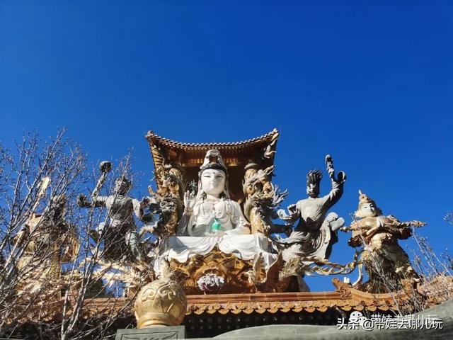 下载 (16).jpeg