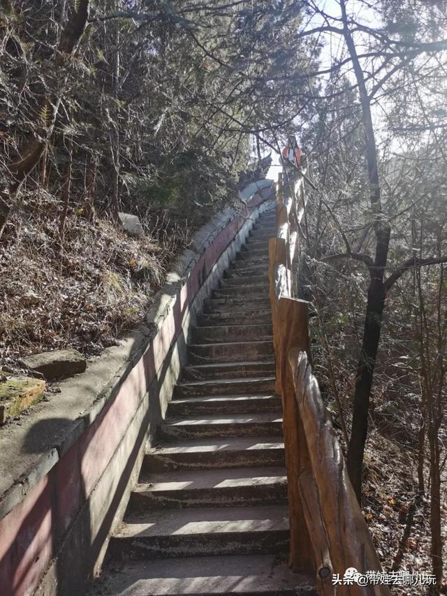 下载 (17).jpeg