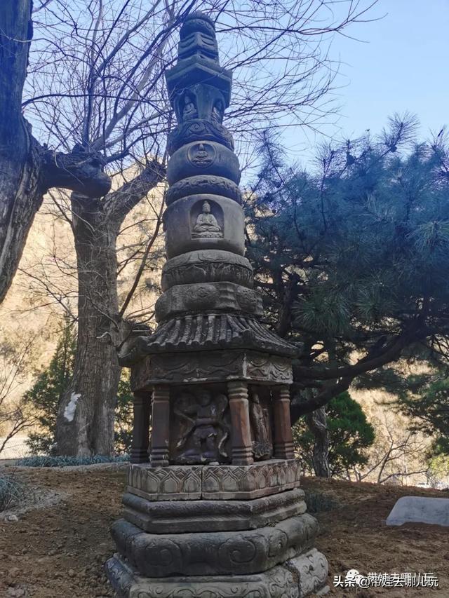下载 (19).jpeg
