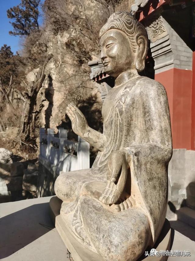 下载 (20).jpeg