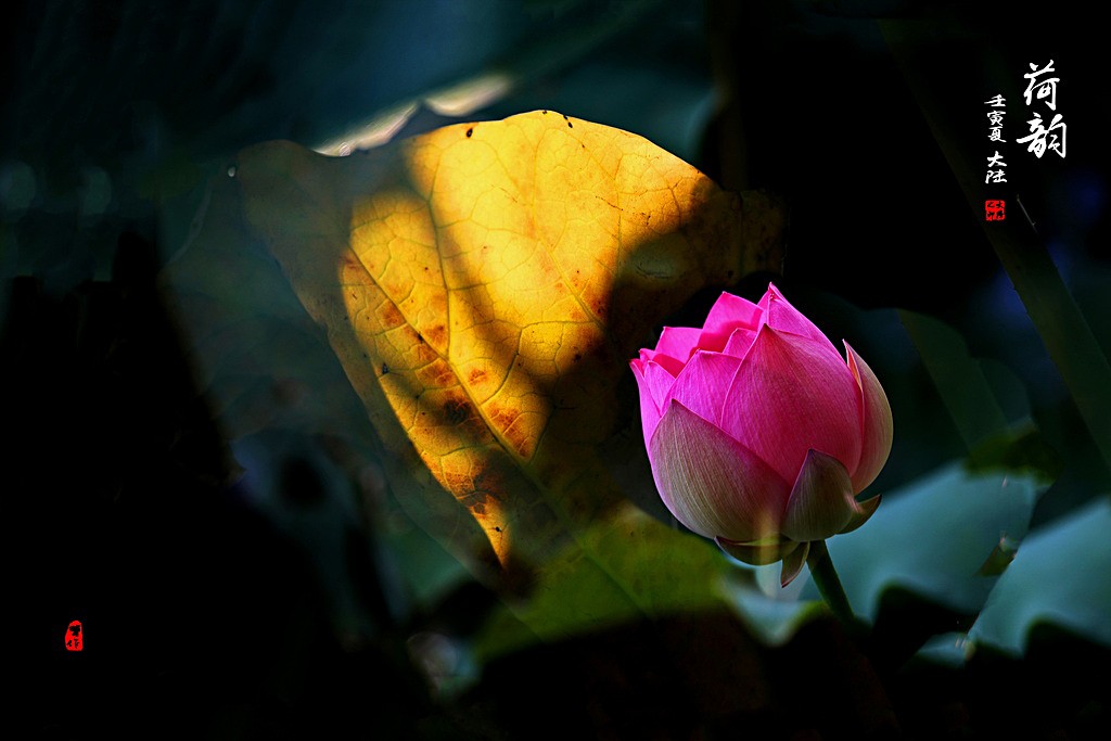 IMG_9128-000-1_调整大小.jpg