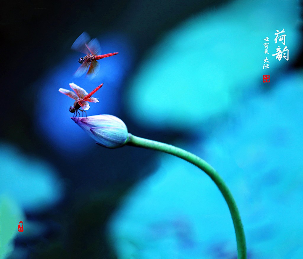 01IMG_9887-000-0_调整大小.jpg