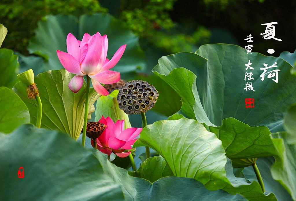IMG_0004-0-1 - 副本_调整大小.jpg