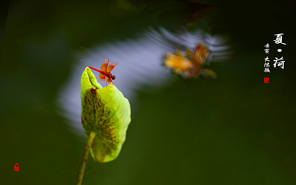 01IMG_0714-0_调整大小.jpg