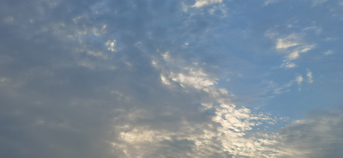 微信图片_20220819172911.jpg 微信图片_20220819172911.jpg