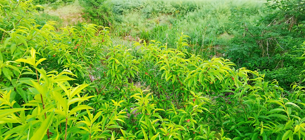 微信图片_2022042516231011.jpg