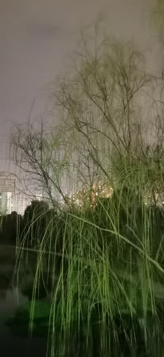 微信图片_2022083009405911.jpg 微信图片_2022083009405911.jpg