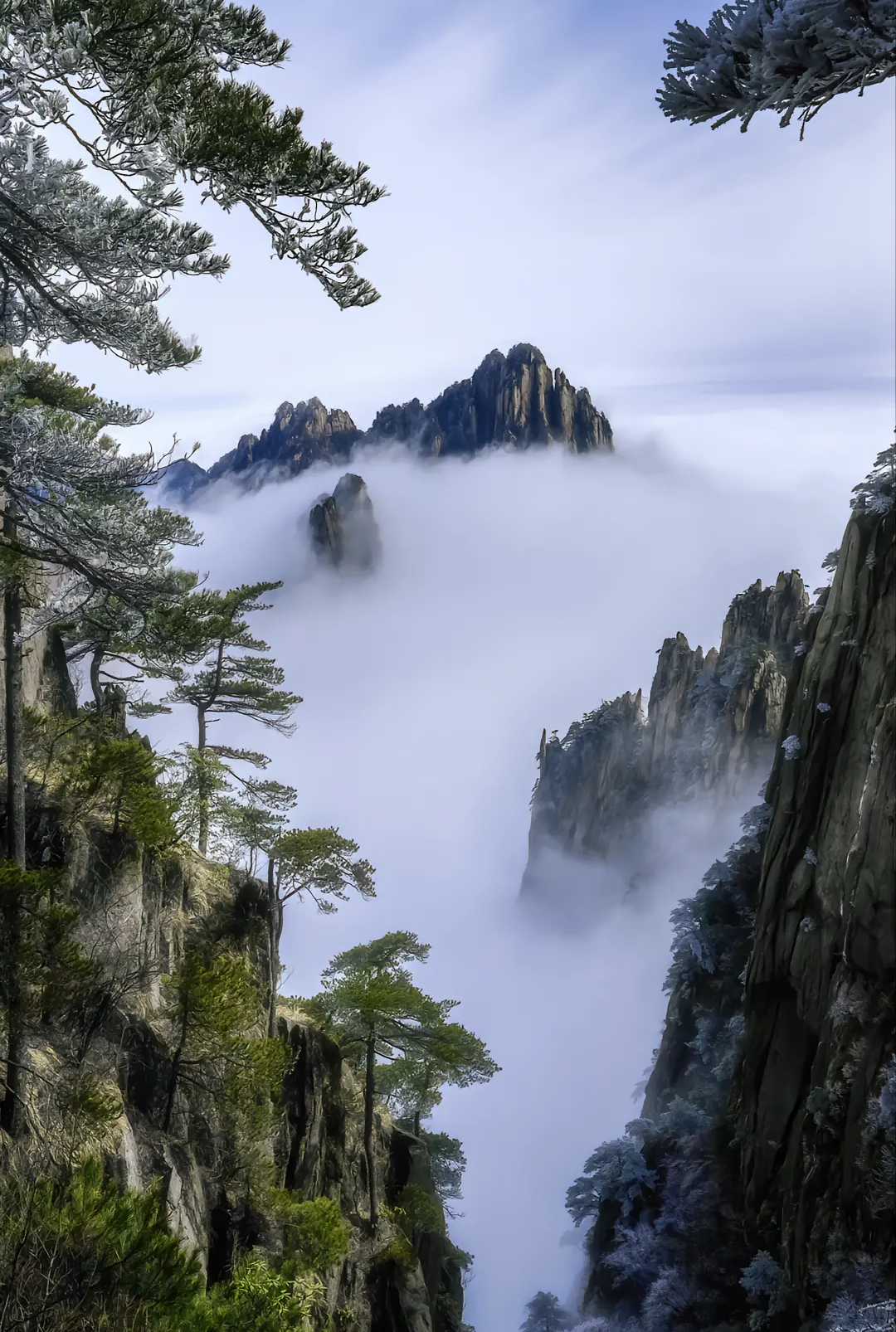 微信图片_202208120914183.png 微信图片_202208120914183.png
