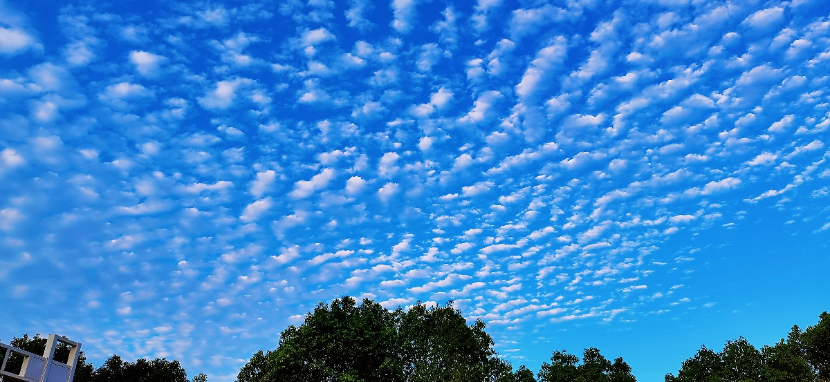D76E5517-D76F-4D5B-ADFC-AA7A8CA405F6.jpeg