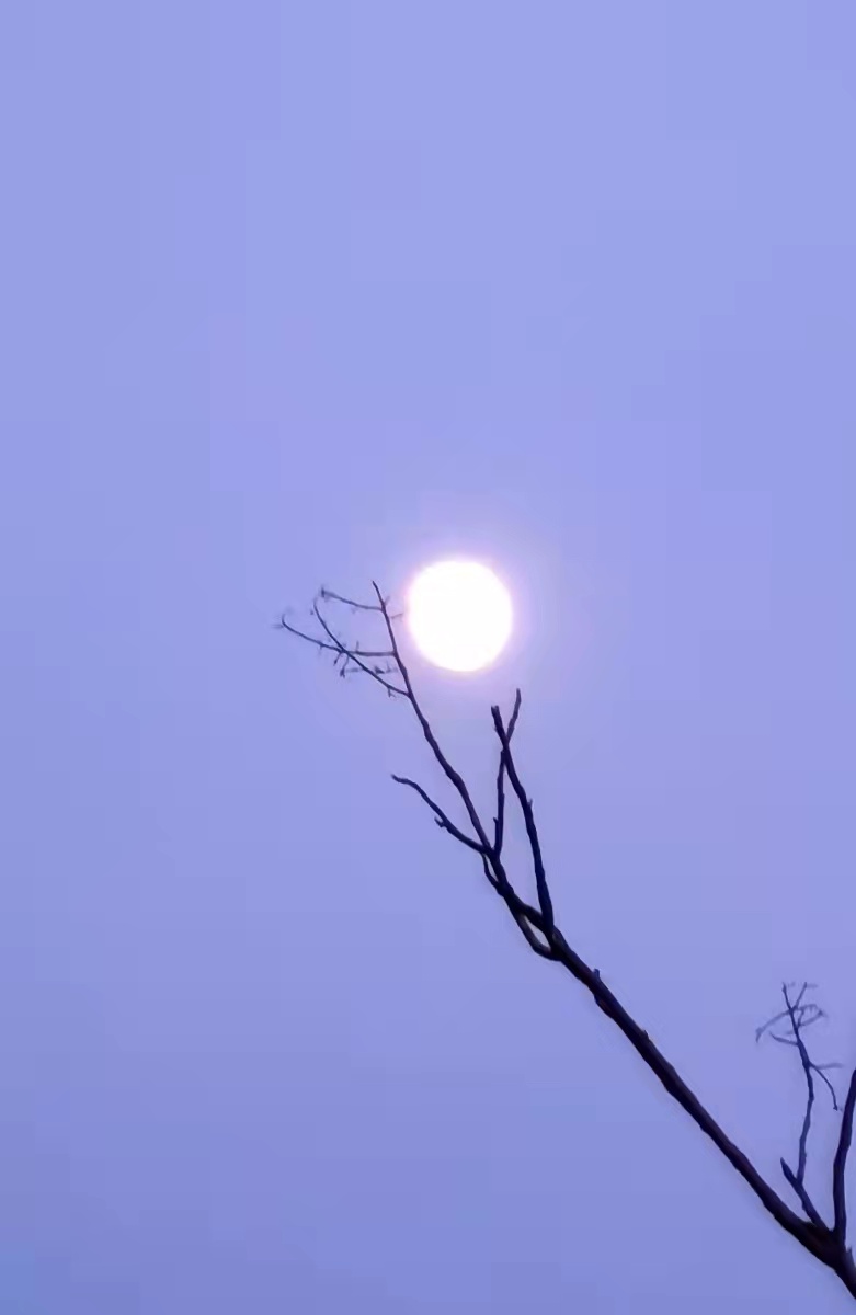 微信图片_20220910144803.jpg