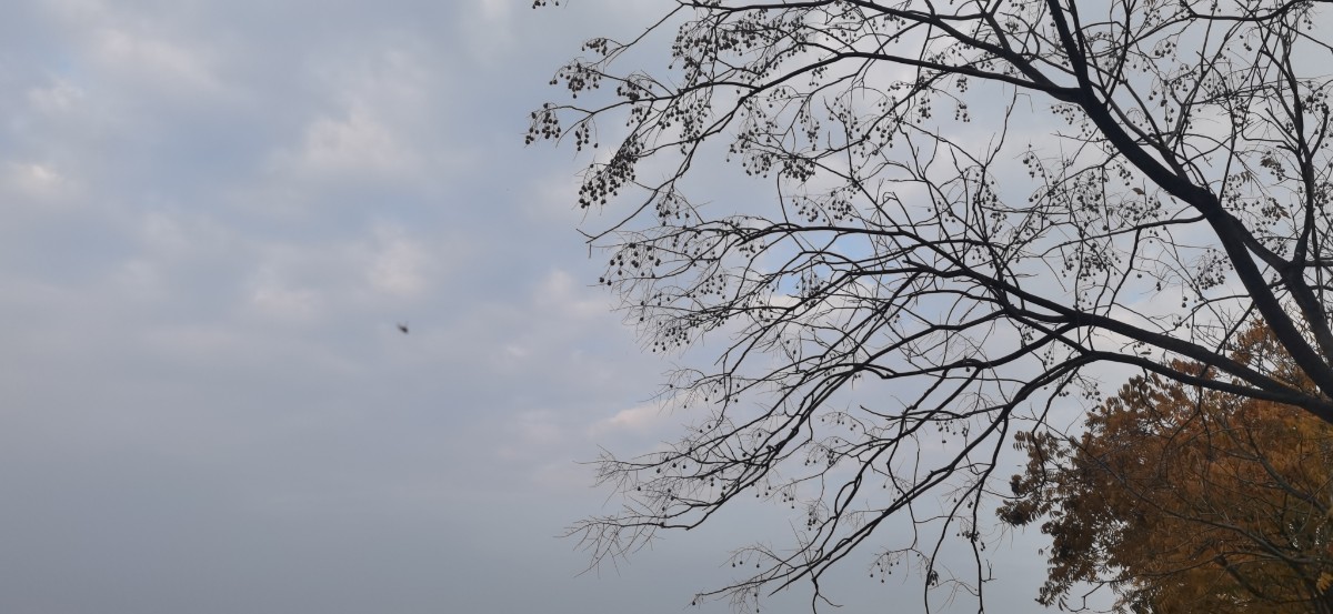 微信图片_2022120809300314.jpg 微信图片_2022120809300314.jpg