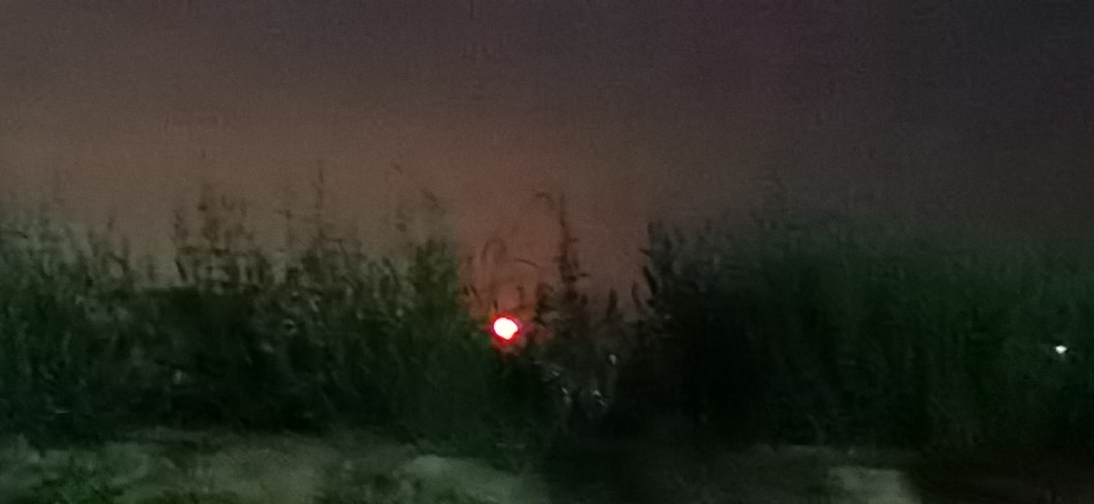 微信图片_202209130825062.jpg 微信图片_202209130825062.jpg