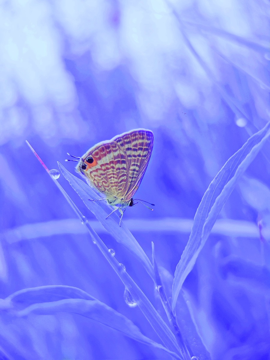AE99B364-137F-4EE1-A5D3-9147C97BC5EB.jpeg