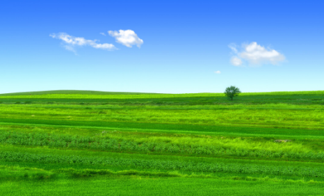 微信图片_202304251357514.png 微信图片_202304251357514.png
