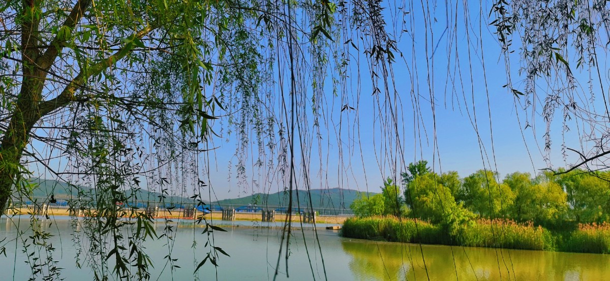 微信图片_20230505084821.jpg 微信图片_20230505084821.jpg