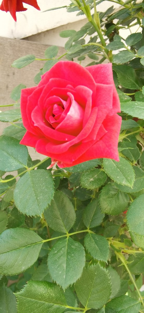 微信图片_202305082033547.jpg 微信图片_202305082033547.jpg